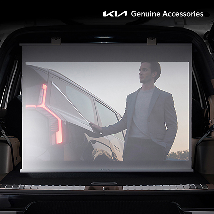 프로젝터 롤 스크린, EV9